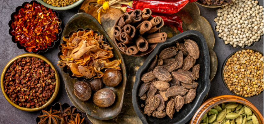 Size of Indian Spice exports