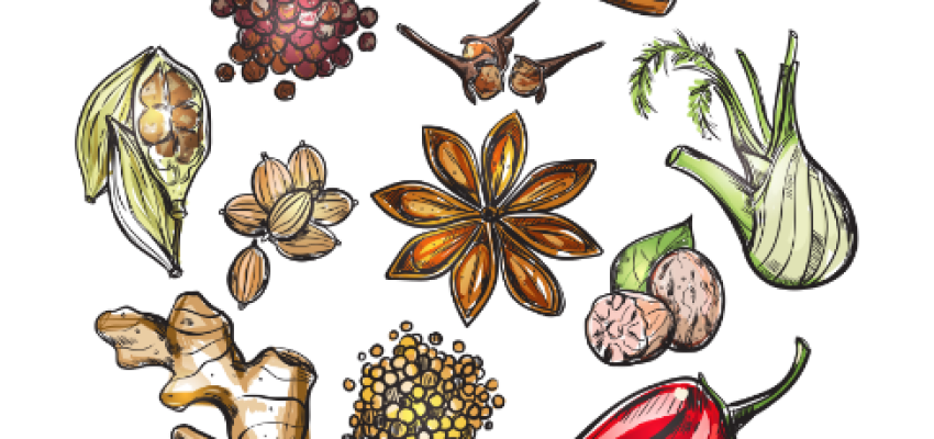 The Vibrant World of Indian Spices