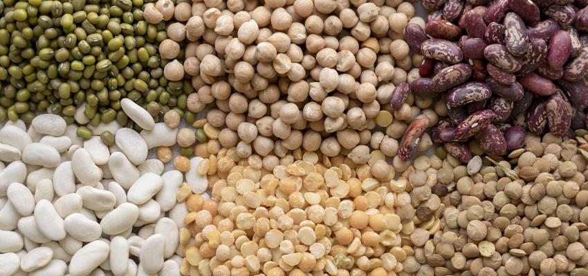 What Are The Most Eaten Pulses In The World ?