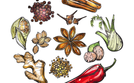 The Vibrant World of Indian Spices